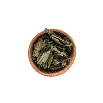 Fresh Dry Mint Leaves